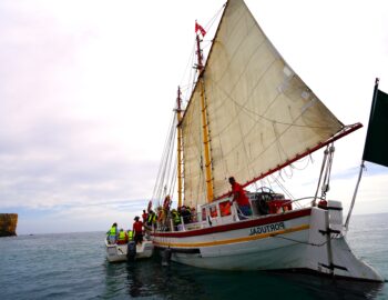 Bom Dia Boat Trips