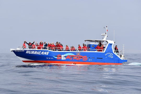 bom dia boat trips - viagem combinada 