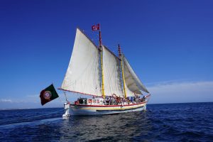 header página viagem baia lagos - veleiro no mar, céu azul